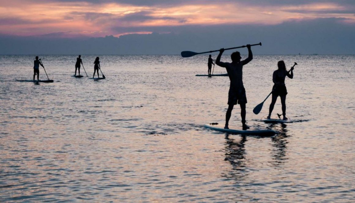 Stand Up Paddleboard (3)